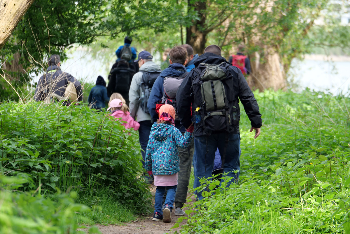 Väter und Kinder gehen im Wald spazieren.